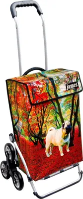 Produktbild von James Einkaufstrolley - MOPSI - stabiler Einkaufswagen mit individuellem Design - einfarbig: rot in Ausführung: Royal-Treppensteiger