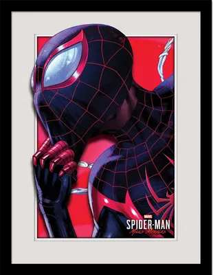 Produktbild von Spider-Man - Gerahmtes Poster "Miles Morales", Ausbruch PM8903 (40 cm x 30 cm) (Rot/Grau/Blau)