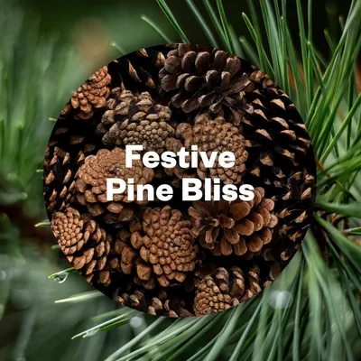 Produktbild von Air Wick Active Fresh Wasserbasiertes Automatisches Duftspray Nachfüller Festive Pine Bliss 3x 228ml