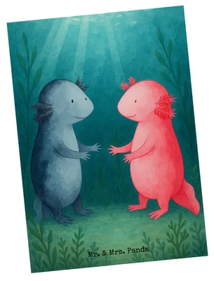 Produktbild von Mr. & Mrs. Panda Postkarte Axolotl Liebe Design - Weiß - Geschenk, Ansichtskarte, Postkarten, Axolot, bildkarte, Fotokarte, Lurch, Ansichtskarten, Schwanzlurch