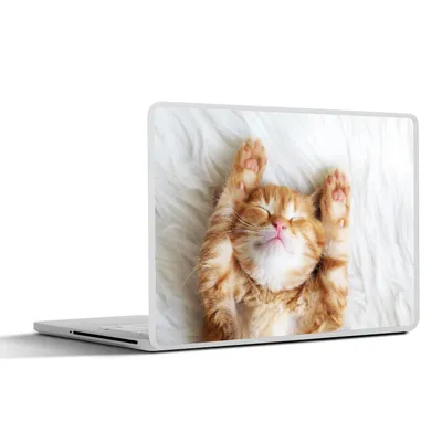 Produktbild von MuchoWow® Laptop Aufkleber Sticker Cover Katze - Rot - Haustiere - Kätzchen 36.5x27.5 cm - Laptop-Sticker