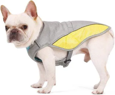Produktbild von Famanu Hundekühlweste - Atmungsaktive Sommerjacke für Hunde in verschiedenen Größen