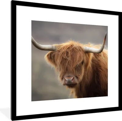 Produktbild von MuchoWow® Gerahmtes Poster Schottischer Highlander - Licht - Porträt 40x40 cm - Poster mit Schwarzem Bilderrahmen Wandposter Rahmen Foto Bilder - Poster - Plakat im Rahmen