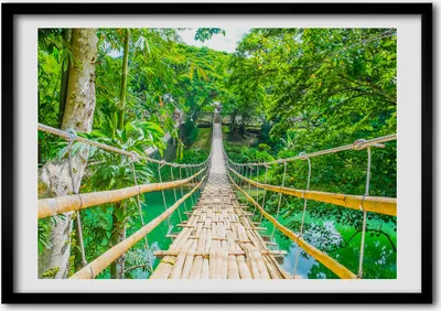 Produktbild von Bild - Bilder - Bilderrahmen - 70 cm x 50 cm - MDF-Rahmen, Wandkunst Die meisten Bambuswald