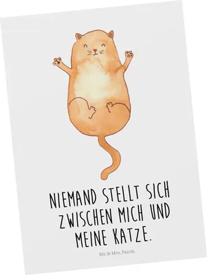 Produktbild von Mr. & Mrs. Panda Grußkarte Katze Umarmen - Weiß - Geschenk, Familie, Freunde, Cat, Ansichtskarte, Katzen, Ansichtskarten, bildkarte, Postkarte, Postkarten