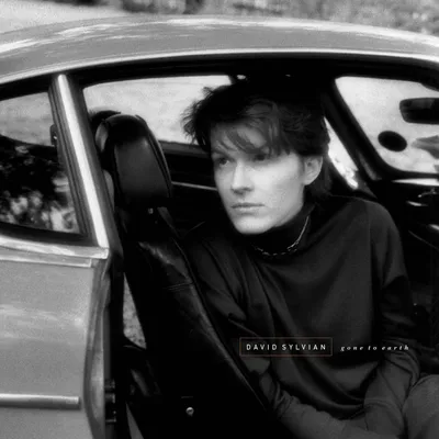 Obrázek produktu pro David Sylvian: Gone To Earth (White, Brown, Black Vinyl)