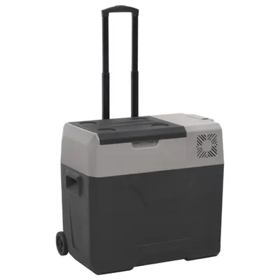 Produktbild von Kühlbox mit Rollen und Griff Schwarz & Grau 40 L Polypropylen