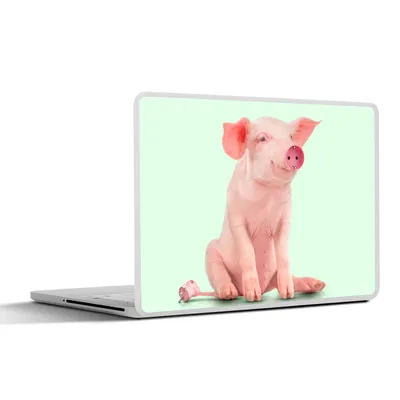 Produktbild von MuchoWow® Laptop Aufkleber Sticker Cover Schwein - Rosa - Sockel - Tiere 32.5x23.5 cm - Sticker für Laptop - Selbstklebend