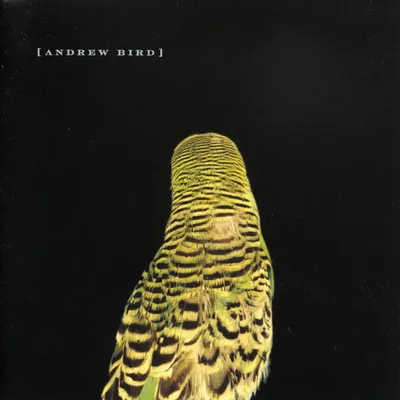 Produktbild von Andrew Bird - Armchair Apocrypha