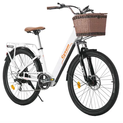 Produktbild von Cityrun Elektrofahrrad, Tiefeinsteigerrahmen, 36V, 250W, 25 km/h, SHIMANO 7-Gang,150kg