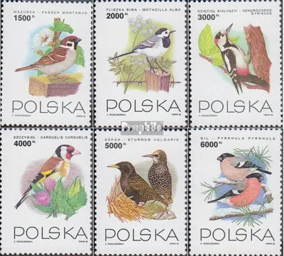 Produktbild von Briefmarken Polen 1993 Mi 3458-3463 (kompl.Ausg.) postfrisch Vögel