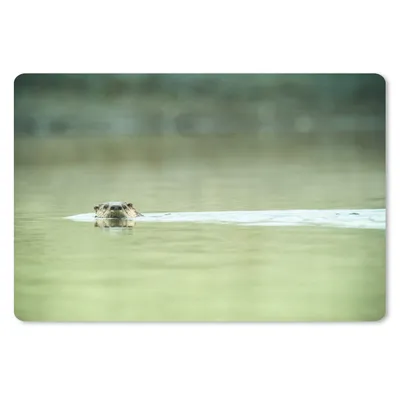 Produktbild von MuchoWow® Mauspad Mousepad Otter schwimmt im Wasser 27x18 cm - Mousepads - Maus Mat - Pad - Mausunterlage - Büroartikel - Desk Matten