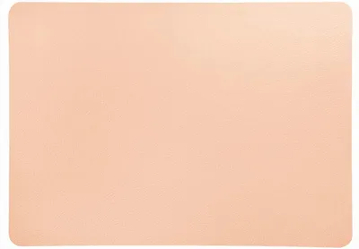 Immagine prodotto di ASA Selection leather optic fine Tischset Ballet Slipper, Platzmatte, Platzdeckchen, PVC Lederoptik, Nude, 33 x 46 cm, 7821420