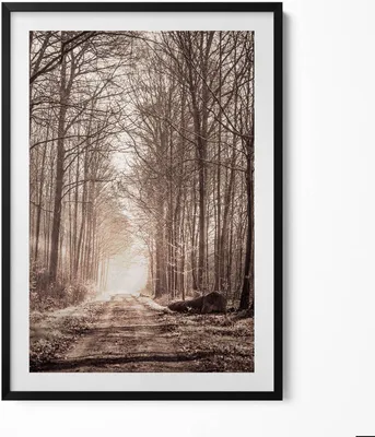 Produktbild von Waldweg in Sepia-Farben– Wandbild mit Rahmen – Gerahmtes Bild  – Wanddekoration – 70x100 cm –  Schwarz Rahmen