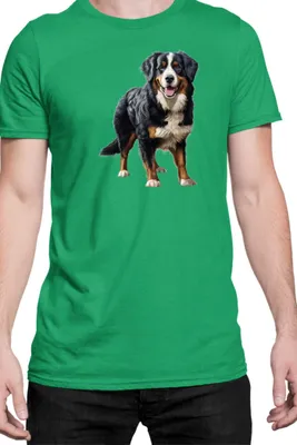 Produktbild von Herren T-Shirt Dogs Breeds Weimaraner Dog Breed 007, Man L / Grün