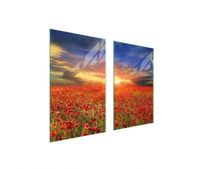Produktbild von Glasschutzplatte Für Herd 75X52 Maki