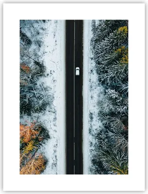 Produktbild von Poster - Poster ohne Rahmen - Wald Weg Schnee - 30x40 cm - Wand Bild - Wanddeko - Wandbilder - Kunstposter - Wandposter - Bilder - Kunstdruck - Wanddekoration - Wandbild - P2XPA30x40-4654