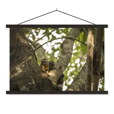 Produktbild von MuchoWow® Textilposter Kleine Tiere in einem Baum 120x80 cm mit schwarzem Rahmen - Wanddeko