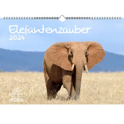 Produktbild von Elefantenzauber DIN A3 Kalender für 2024 Elefanten - Seelenzauber