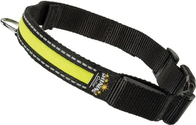 Image de Collier Large Ferplast Night