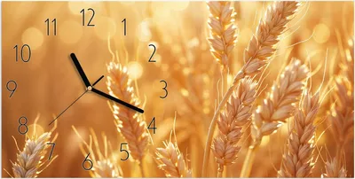 Produktbild von Wanduhr aus Glas mit Motiv Weizenfelder- 60 x 30 cm - inkl. Aufhängesystem