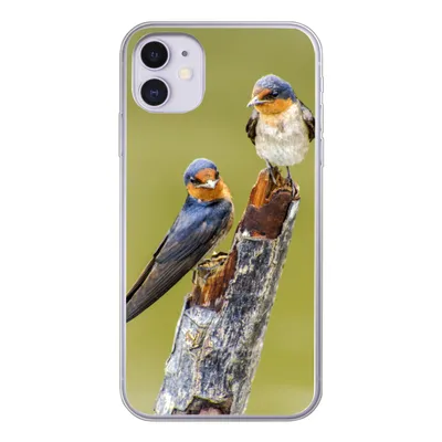 Produktbild von MuchoWow® Handyhülle Schutzhülle Hülle für iPhone 11 Vögel - Zweig - Porträt Silikon Softcase Handy Hülle - Handytasche