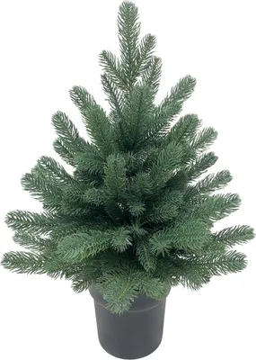 Image de Sapin de Noël MagicHome Firian, 3D, épicéa en pot, 60 cm