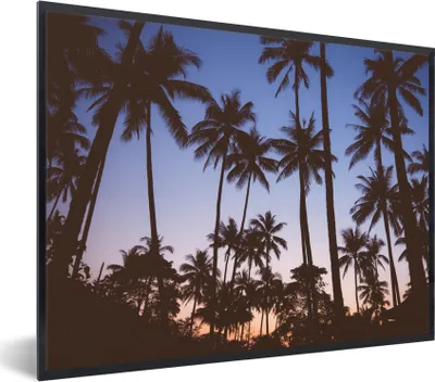 Produktbild von MuchoWow® Gerahmtes Poster Palme - Tropisch - Sommer - Himmel 80x60 cm - Poster mit Schwarzem Bilderrahmen Wandposter Rahmen Foto Bilder - Schwarzem - Mit Gestell
