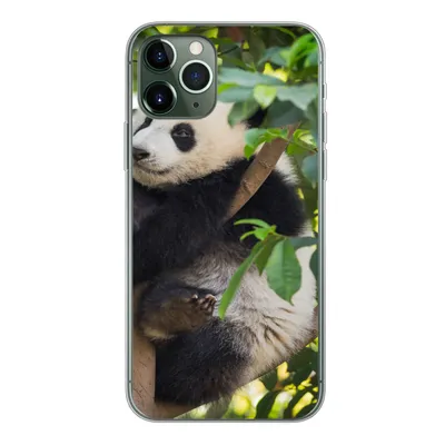 Produktbild von MuchoWow® Handyhülle Schutzhülle Hülle für iPhone 11 Pro Panda - Tier - Baum Silikon Softcase Handy Hülle - Handy