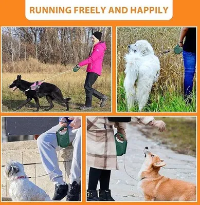 Image de Laisse extensible pour chien, 18 x 4 x 12 cm, pour les promenades