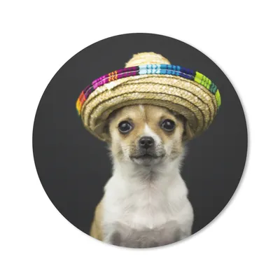 Produktbild von MuchoWow® Mauspad Mousepad Hund - Sombrero - Schwarz 40x40 cm - Mousepads - Maus Mat - Pad - Mausunterlage - Schreibtisch Accessoires