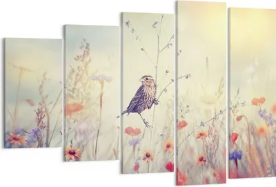 Produktbild von Bild auf Leinwand - Leinwandbild - 5 Teile - Vogel Wildschwein Wiese - 150x100cm - Wand Bild - Wanddeko - Wandbilder - Leinwanddruck - Bilder - Wanddekoration - Leinwand bilder - EG150x100-4279
