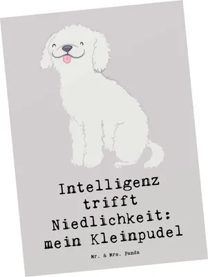 Produktbild von Mr. & Mrs. Panda Postkarte Niedlicher Kleinpudel - Grau Pastell - Geschenk, Grußkarte, Ansichtskarte, Hunderassen, Hunde, einzelkarte, Eigenschaften, treuer Begleiter