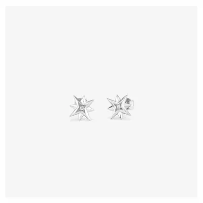 Image de Radiant Femmeohrringe RY000032