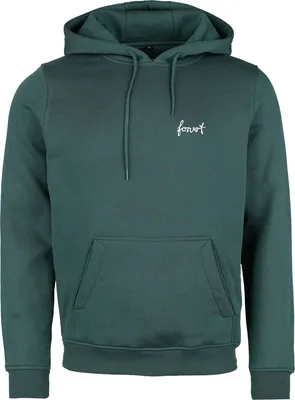 Productafbeelding van Forvert hooded sweatshirt, herenmodel, kleur: groen, maat: L