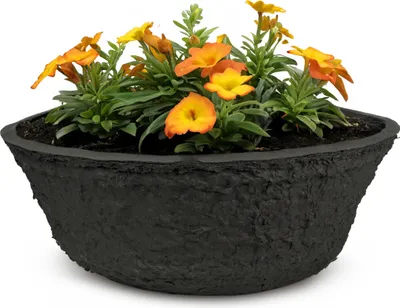 Immagine prodotto di Fioriera per esterni, biodegradabile, rotonda 19 cm