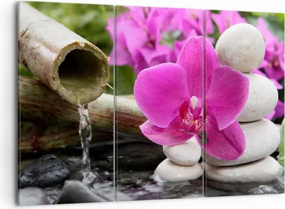 Produktbild von Bild auf Leinwand - Leinwandbild - Orchidee Bambus Dekoration Spa - 105x70cm - Wand Bild - Wanddeko - Leinwanddruck - Bilder - Kunstdruck - Wanddekoration - Leinwand bilder - Wandkunst - CE105x70-2666