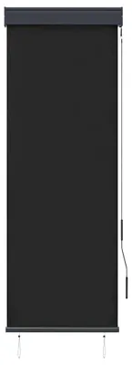 Obrázek produktu pro venkovní roleta vidaXL 60 x 250 cm antracitová