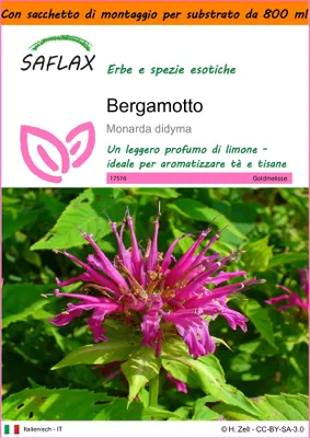 Immagine prodotto di SAFLAX Garden in the bag - Bergamotto - 20 semi - Monarda