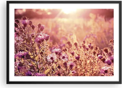 Produktbild von Gerahmtes Poster - Schwarzer Rahmen - Wiese Blumen Sonne - 70x50 cm - Wand Bild - Wanddeko - Wandbilder - Kunstposter - Wandposter - Bilderrahmen - Bilder - Kunstdruck - P2BAA70x50-4819
