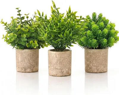 Productafbeelding van Kunstplant Klein met Pot - Nepplant voor Bureau - Onderhoudsvrij - Voor Binnen - Groen