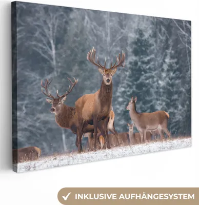 Produktbild von OneMillionCanvasses® - Leinwandbilder - 150x100 cm, Hirsche - Tiere - Natur, Wandbilder Kunstdruck Wanddekoration