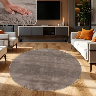 A living room scene featuring a round rug, sofa, and entertainment center.