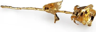Produktbild von Ewige goldene Rose 24 Karat Gold in Geschenkverpackung mit Echtheitszertifikat