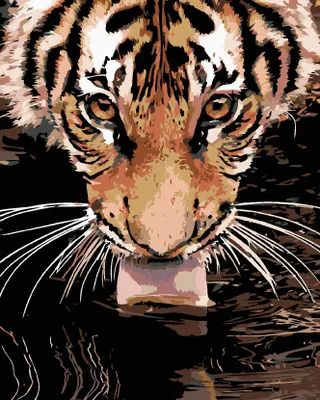 Produktbild von Zuty - Malen nach Zahlen - TIGER AM WASSER, 40x50 cm, mit Keilrahmen (bereits gespannt)