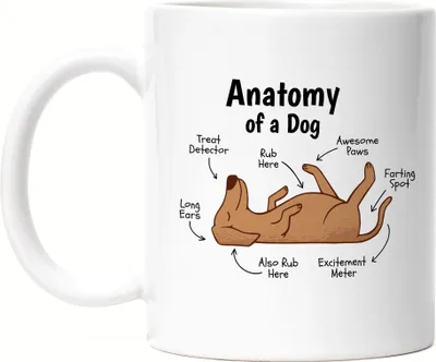 Produktbild von Dog Anatomy Hunde Anatomie Tasse Weiss Mit Hund Motiv Für Hundebesitzer Hundeliebhaber Hundemama Hundepapa