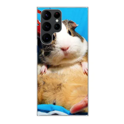 Produktbild von MuchoWow® Handyhülle Schutzhülle Hülle für Samsung Galaxy S22 Ultra Meerschweinchen - Lustig - Krone - Kinder - Jungen - Mädchen - Kind Silikon Softcase Handy Hülle - Abbildung