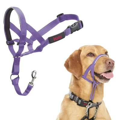 Immagine prodotto di Fascia per cani Halti, taglia 3, colore viola