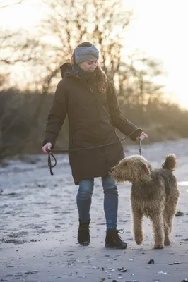 Produktbild von Owney Ilu Wintermantel Damen Mocha Braun S wetterfest Hundehalter Jacke wasserdicht Parka warm atmugsaktiv mit vielen Taschen