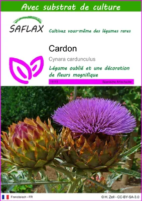 Image de SAFLAX  - Cardon - 50 graines - Avec substrat - Cynara